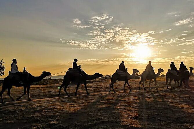 Camel Safari in Cappadocia - A 1-Hour Camel Trek Built Around Two Valleys