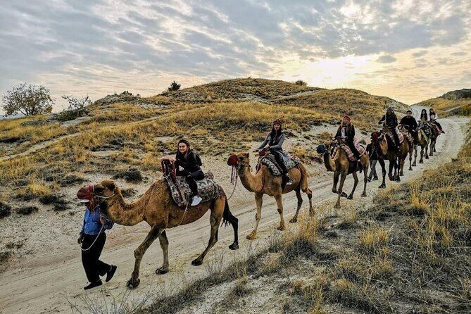 Camel Safari in Cappadocia - Camel Comfort and Animal Welfare: What You Should Watch For
