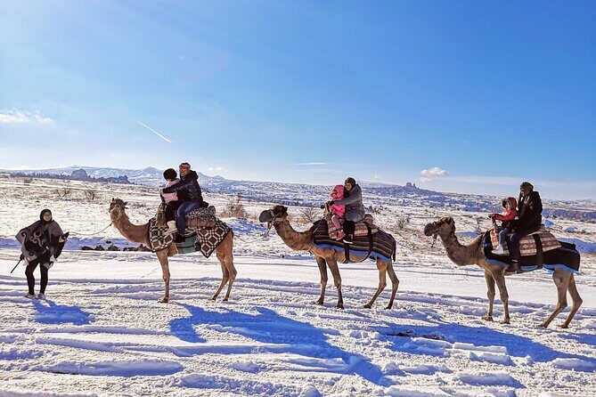 Cappadocia Camel Ride Tour - Camels, Handlers, and What the Ride Feels Like