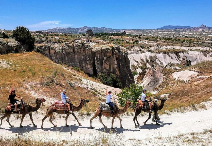 Cappadocia: Camel Safari - Key things to know before you go