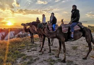 Cappadocia: Camel Safari - From Pickup to Camel Saddle: The 1–1.5 Hour Flow