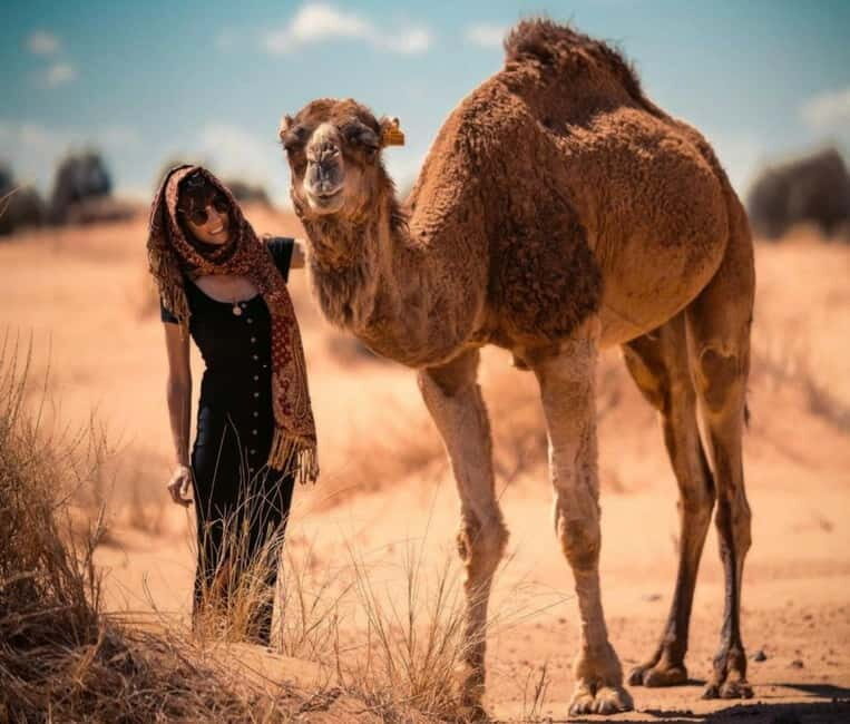 Cappadocia: Camel Safari Tour with Transfer - Camel Safari With Transfer: Why this 1-hour ride is a smart use of your time