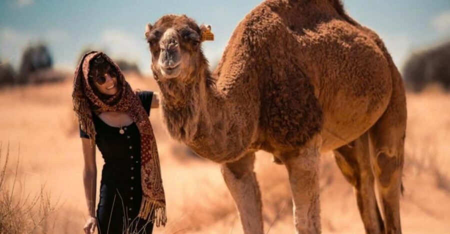Cappadocia: Camel Safari Tour with Transfer - FAQ
