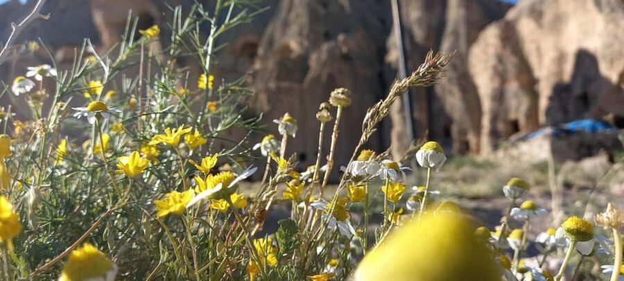 Cappadocia: Derinkuyu, Selime, Nar Crater Lake & Ihlara Tour - Ihlara Valley Lunch and the Guided Canyon Walk