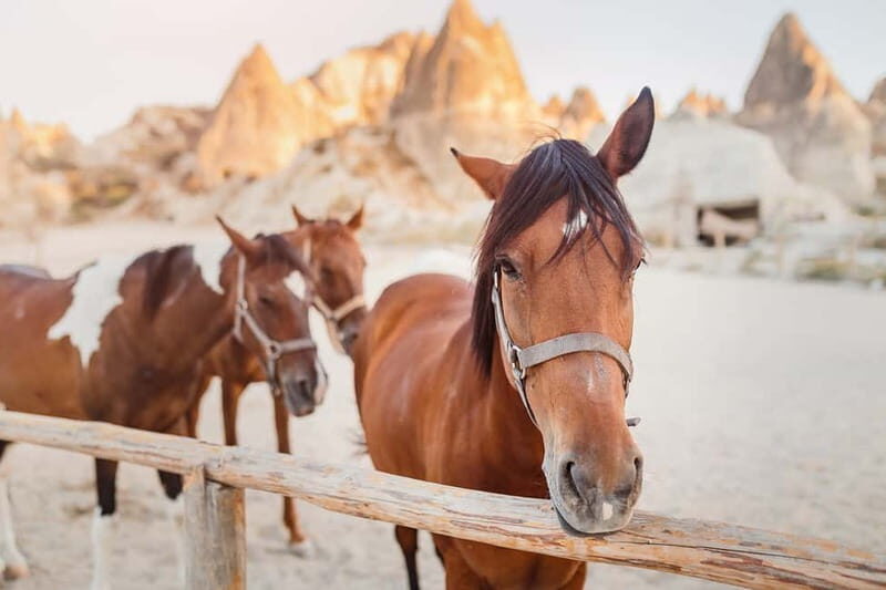 Cappadocia: Göreme Horse Riding, Fairy Chimneys w/Transfer - Hallacdere Monastery Stop: The Rock-Cut Pause