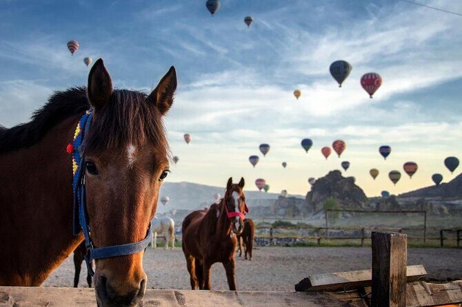 Cappadocia Horse Riding Experience Sunrise Sunset Daytime - Cappadocia horse riding safari: why this beats the usual tour