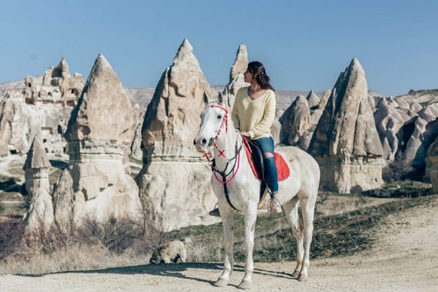 Cappadocia: Horse Safari with Hotel Transfer - Communication in English: What to Expect From the Guide