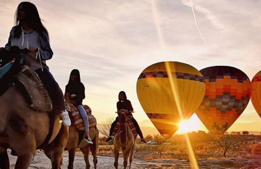 Cappadocia: Horse Safari with Hotel Transfer - Who Should Book This Horse Safari, and Who Should Skip It