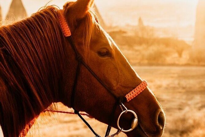 Cappadocia Horseback Riding Tour (Transfer Included) - A sunset ride in Göreme feels like stepping into the story