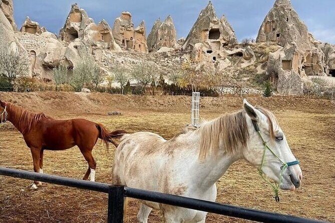 Cappadocia Horseback Riding Tour (Transfer Included) - Hotel pickup and drop-off: the easiest part of the plan