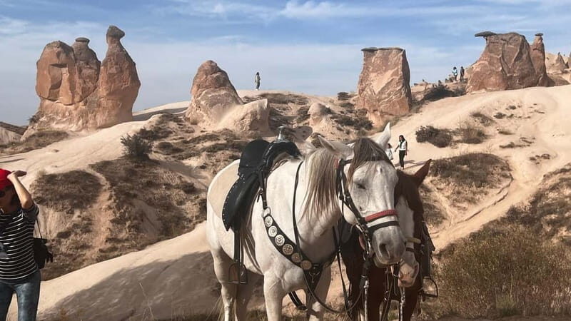 Cappadocia Private Combined Tour with Lunch - Price and value: what $133 gets you (and what might cost extra)