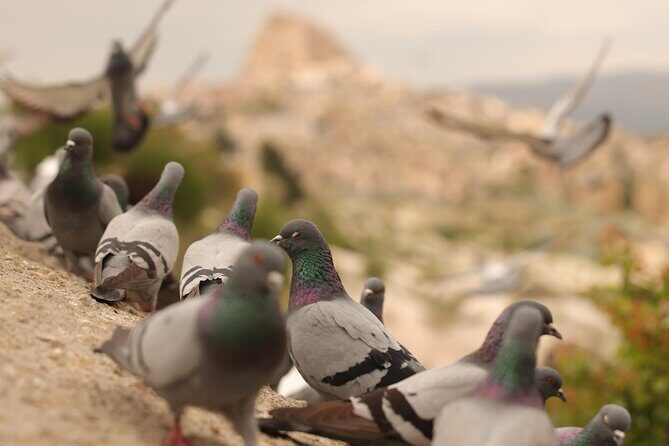 Cappadocia Private Guided Tour(Car&Licensed Guide) - Your Pickup, Your Vehicle, and the Comfort Factor