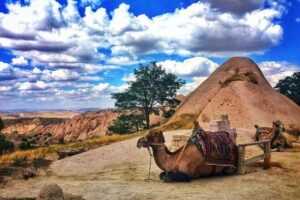 Cappadocia Red Tour (Pro Guide, Tickets, Lunch, Transfer incl) - Pickup, timing, and how the day really flows