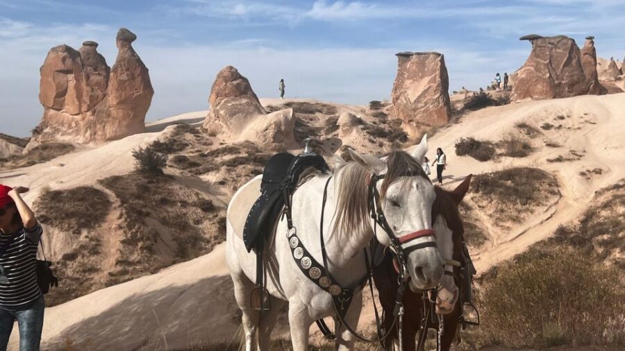 Cappadocia: Small-Group North Tour - Devrent Valley: the whimsical rocks (and the best kind of wander)