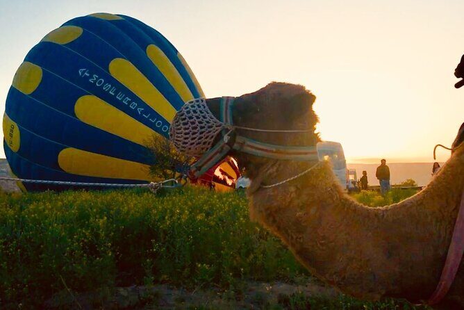 Cappadocia: Sunrise Camel Safari - The 7-Pickup Morning and How the Timing Usually Feels