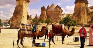 From Cappadocia: Sunrise or Sunset Camel Riding Day Trip - Sunrise vs sunset: what you’ll actually see (and what you won’t)