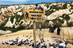 From Istanbul: 3-Day Cappadocia Highlights Tour by Plane - Price and value: what $642.39 covers (and why it’s not just sightseeing)