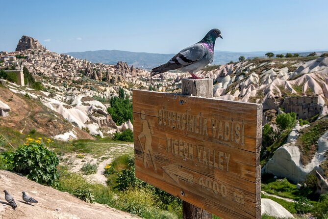 Full Day Private Cappadocia Tour (Guide & Driver) - Price, fees, and what you’ll likely spend