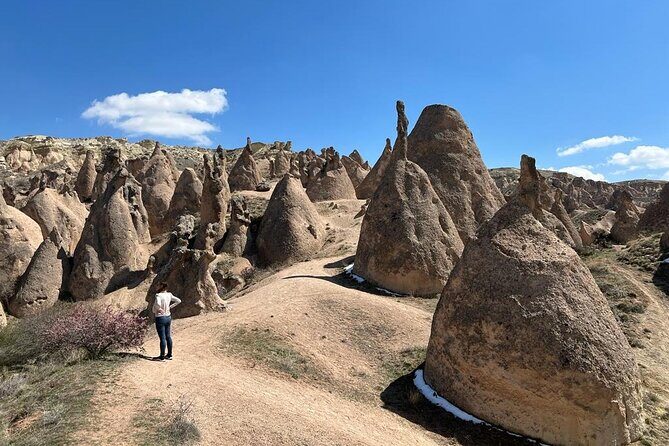 Full Day Private Cappadocia Tour (Luxury Van + Private Guide ) - Devrent Valley: The Imagination Valley Where Rocks Look Like Animals
