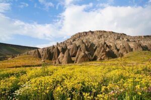 Green Cappadocia Underground City and Valleys Tour. Lunch incl. - Göreme Panorama: two short viewpoints that set the tone