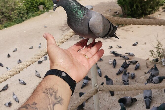 Green Full-Day Tour in Cappadocia - Stop 1: Goreme Panorama for Fast Orientation