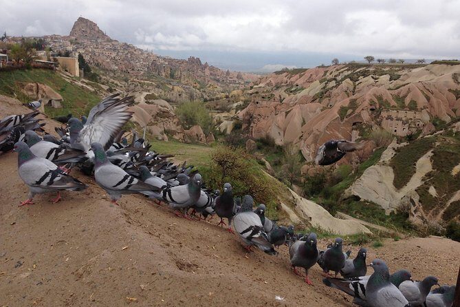 Private Highlights of Cappadocia Tour with lunch - Avanos pottery at Sultans Seramik: kick-wheel you can watch