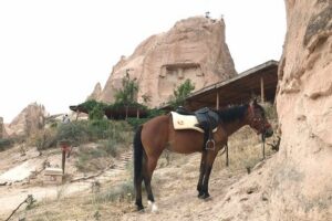 Rose Valley Sunset Hiking in Cappadocia - Meeting point reality check: 5 pm and the Goreme Belediye stop
