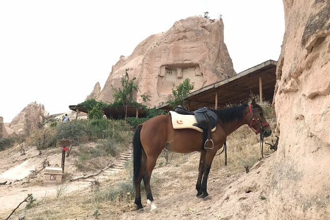 Rose Valley Sunset Hiking in Cappadocia - Meeting point reality check: 5 pm and the Goreme Belediye stop