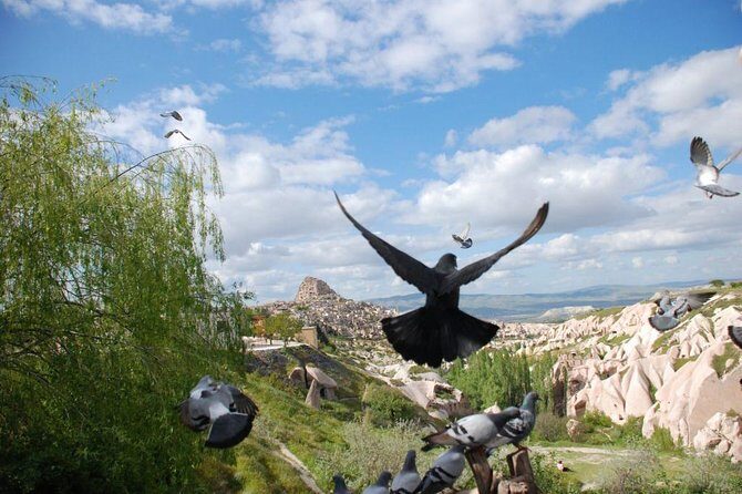 Small Group Cappadocia Tour - Avanos Oren Yeri: local shop time (the part to plan around)