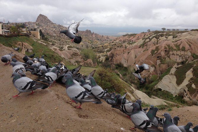 Tour of Highlights of Cappadocia with Lunch - Pigeon Valley and Uchisar Castle Views: Where the Photos Actually Make Sense