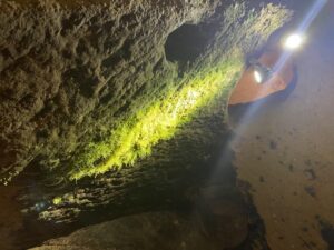 Underground city tour & optional wine tasting - 2 Hours, 45 Minutes Inside: How the Timing Works